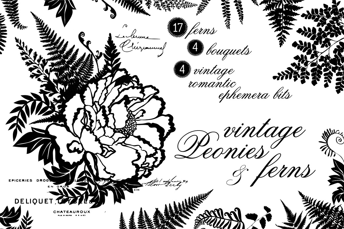 Vintage Peonies and Ferns Graphics, an Illustration by shawnanonna (Photo 1 of 2)