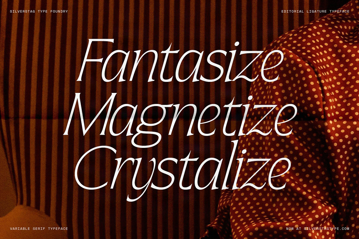 Arcilla — Variable Editorial Serif, a Serif Font by SilverStag Type Foundry (Photo 23 of 31)