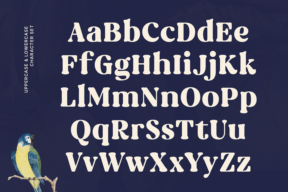 Rost Bird - Bold Swashes Retro Serif, a Serif Font by Typia Nesia (Photo 2 of 15)
