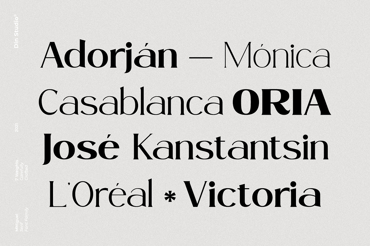 Miguel, a Serif Font by din-studio.com (Photo 2 of 11)