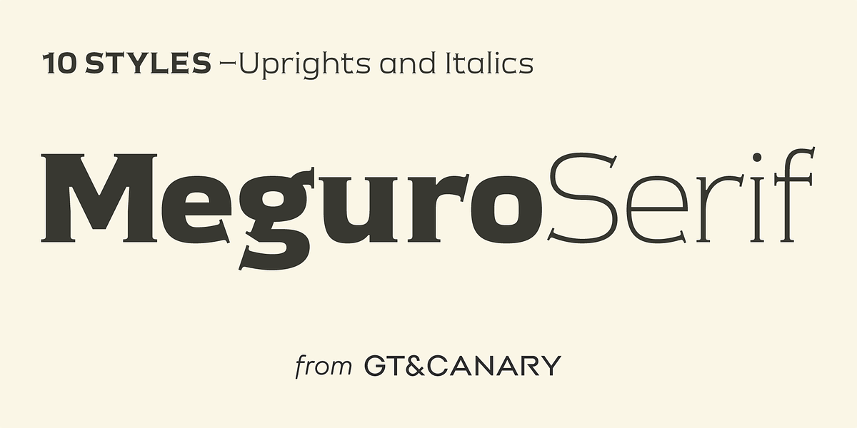 Meguro Serif, a Serif Font by GT&CANARY (Photo 1 of 12)