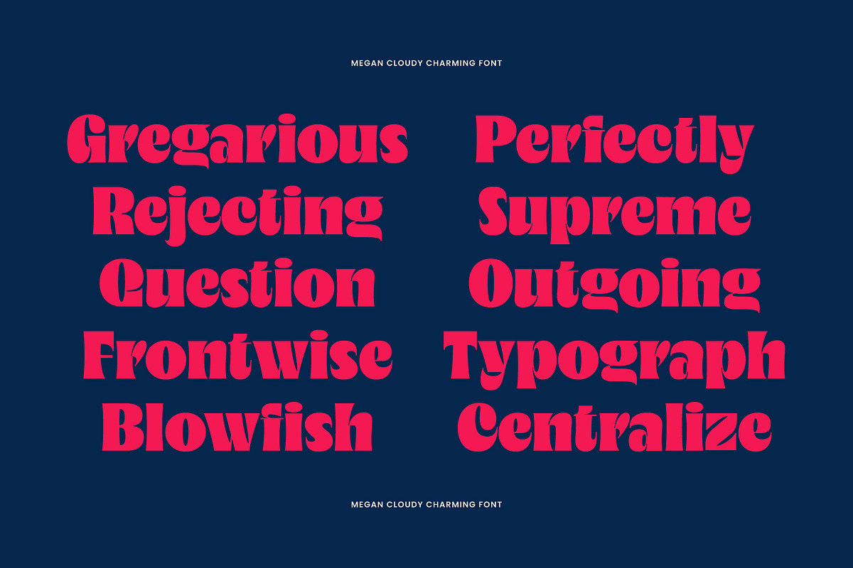 Megan Cloudy - Charming Serif, a Serif Font by Variatype (Photo 4 of 10)