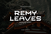 Remy Leaves Display Typeface