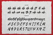 Curiousity Reuis Handwritten Script, a Script Font by gracetype_studio (Thumbnail 11 of 11)
