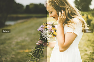 Canola Pro Lightroom Presets