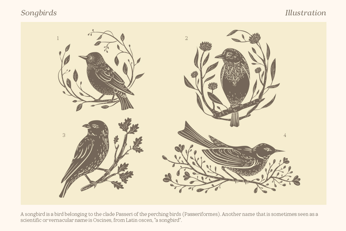 Songbirds graphic collection, a Decorative Illustration by Piñata (Photo 4 of 10)