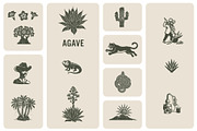 Agave & Tequila Vintage Vectors, an Object Graphic by Craftrick (Thumbnail 8 of 9)