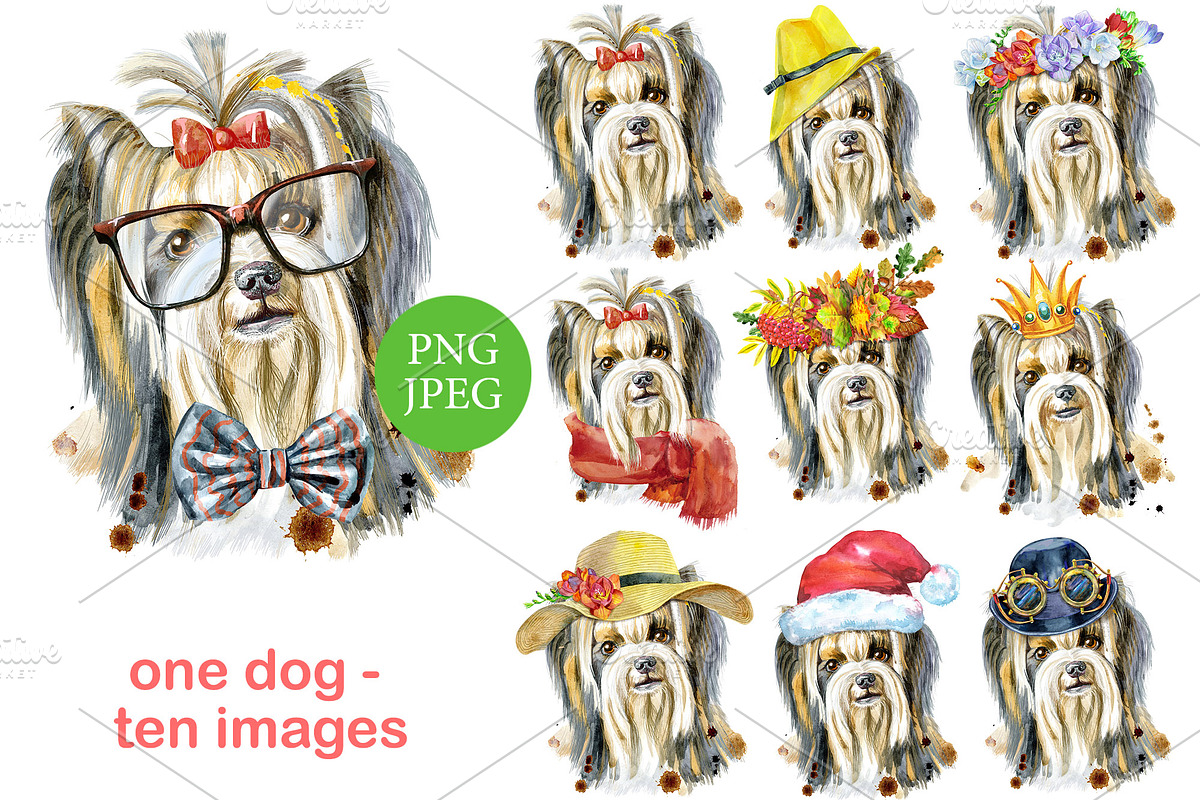 Watercolor fluffy yorkshire terrier, an Animal Illustration by Watercolor fantasy (Photo 1 of 5)