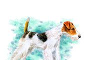 Watercolor Dogs Mega Big Bundle, an Illustration by Dneprstock (Thumbnail 28 of 60)