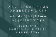 Avillia - Elegant Serif Font, a Serif Font by Aqeel_Art (Thumbnail 9 of 10)