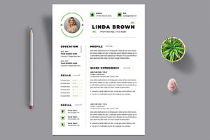Clean Resume CV, a Resume Template by ContestDesign