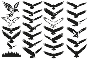 Powerful eagle flying wall art, an Illustration by Amazin_art