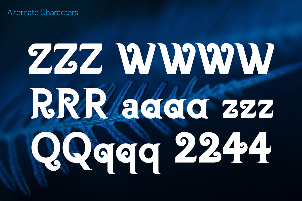 Kia Ora Font - Bold, a Serif Font by Something & Nothing (Photo 3 of 4)