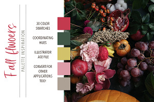 Illustrator Color Palette BUNDLE V1