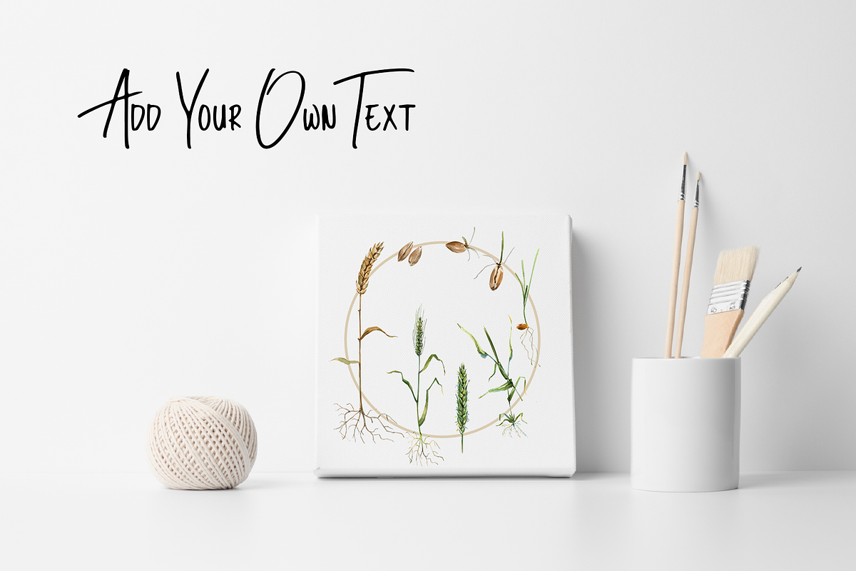 Wheat Life Cycle Clip Arts & Posters, an Education Illustration by Tati Bordiu (Photo 4 of 4)
