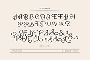Bridgest, a Serif Font by Attract Studio (Thumbnail 16 of 17)