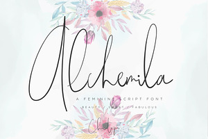 Alchemila Script