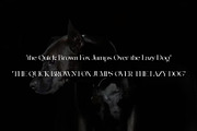 Angkle's, a Serif Font by jaffana.co (Thumbnail 2 of 6)