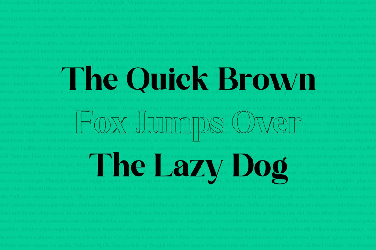 Catalyone - Fashion Font, a Serif Font by RockboyStd (Photo 8 of 12)