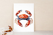Nautical Watercolor Clipart, an Illustration by Libby Wishes (Thumbnail 4 of 7)