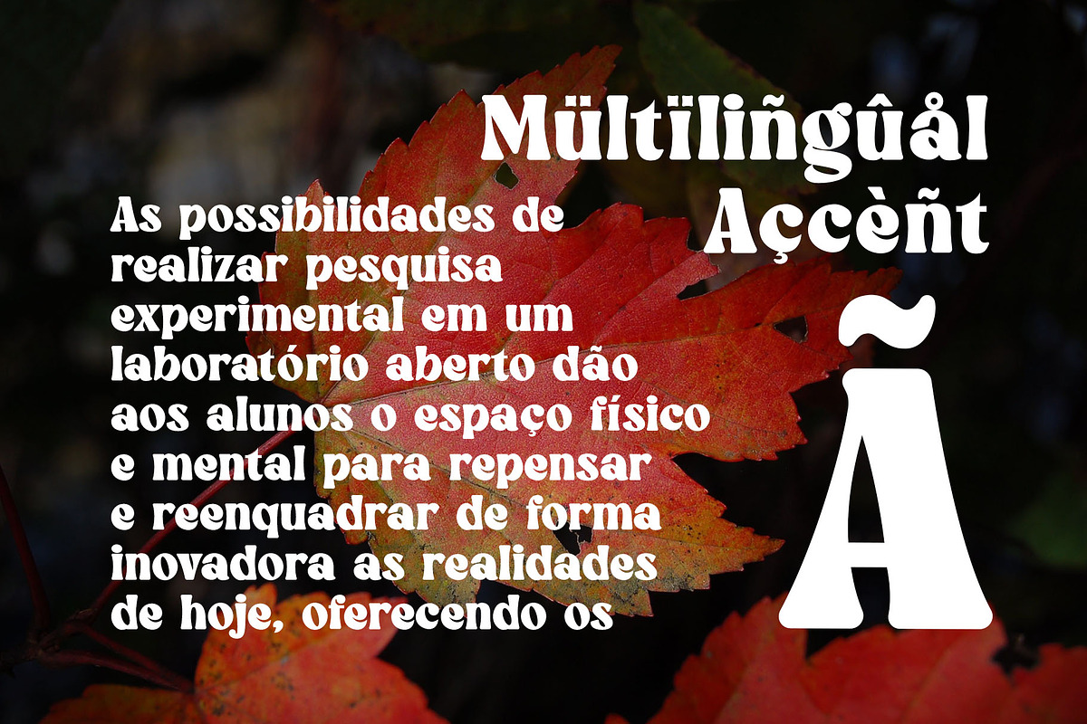 Winky Milky Serif Font, a Serif Font by Graphicxell (Photo 8 of 11)
