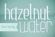 Hazelnut Water Font Family, a Font by Brittney Murphy Design (Thumbnail 1 of 3)