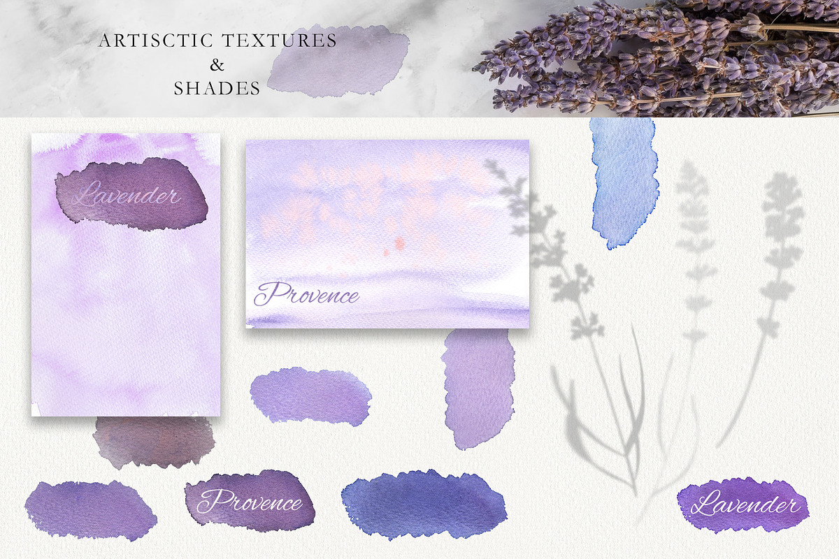Love Lavender Set, an Illustration by Olga Koelsch (Photo 7 of 11)