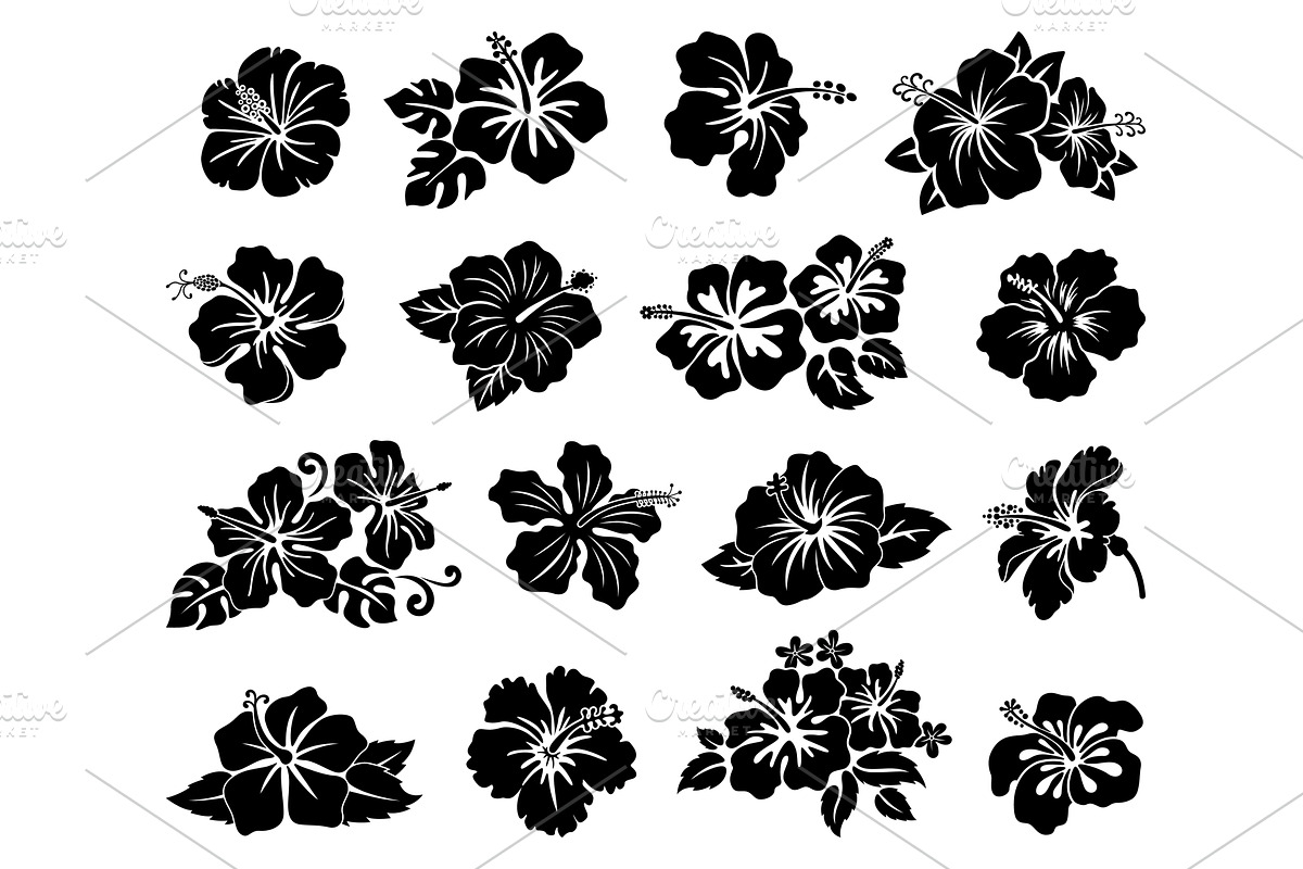 Hawaii tropical hibiscus flowers, an Object Illustration by Buch&Bee