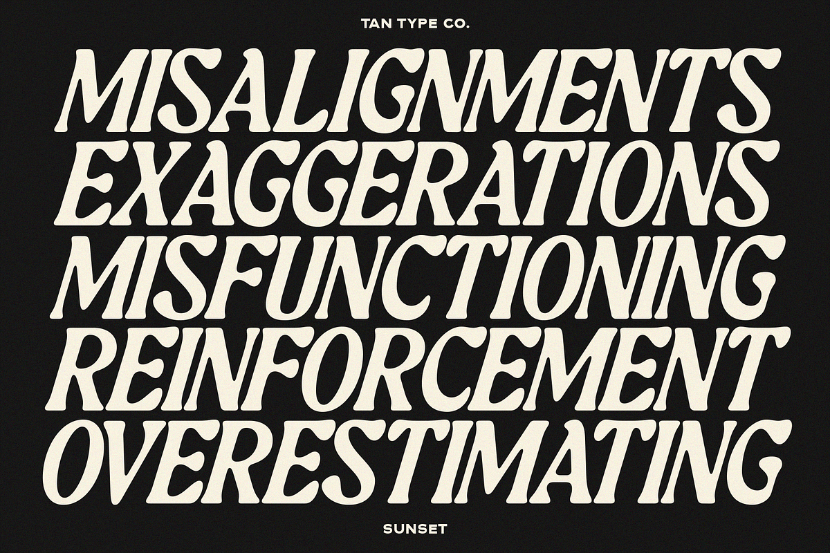TAN-SUNSET, a Serif Font by TanType (Photo 7 of 11)