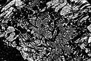 Lilliputian, a Texture Graphic by Jennifer Lauren Creative (Thumbnail 10 of 28)