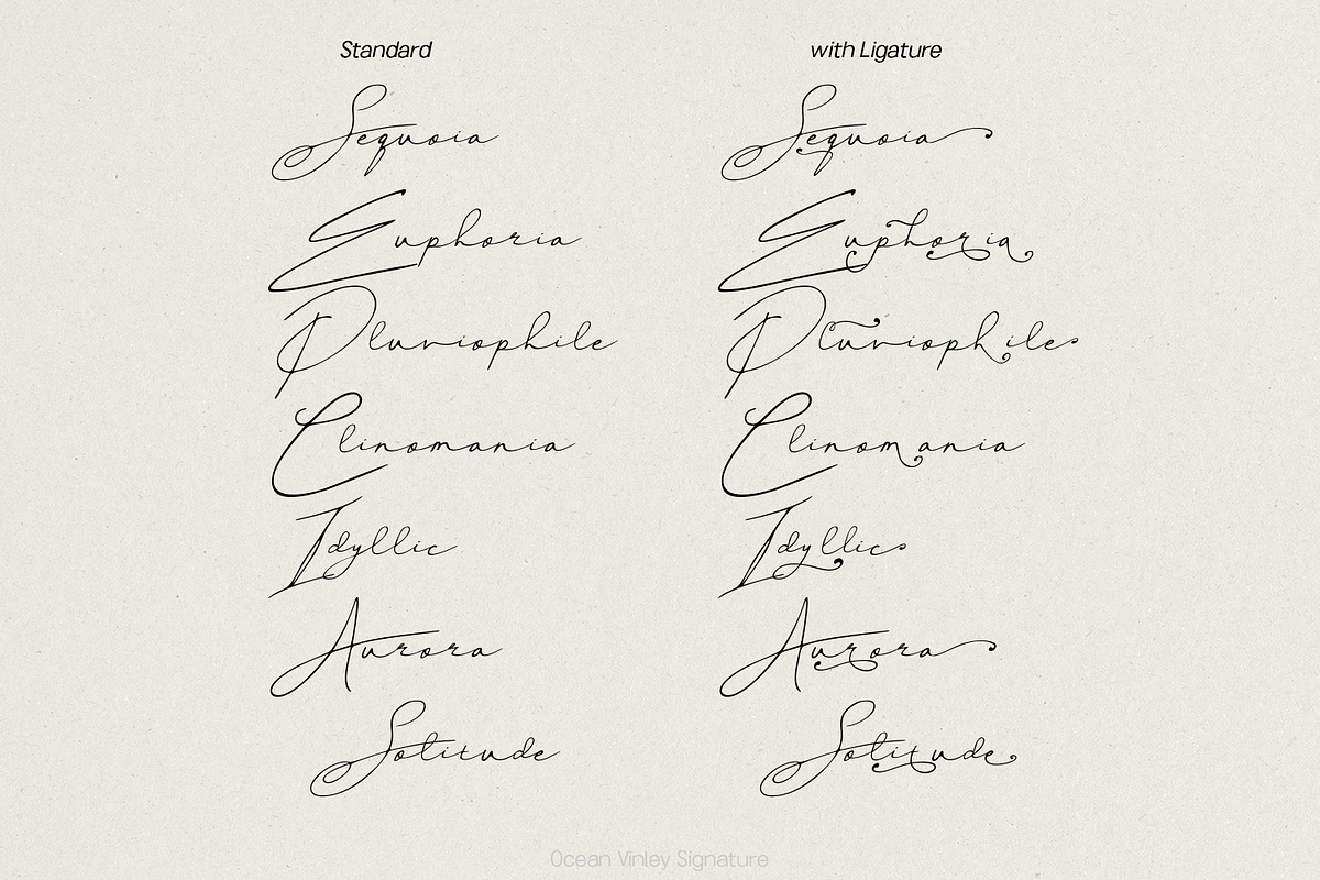 Ocean Vinley Signature, a Handwritten Font by madeDeduk (Photo 6 of 10)