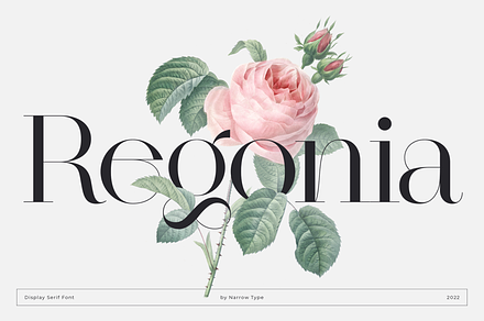 Regonia Display Serif Typeface, a Serif Font by Narrow Type