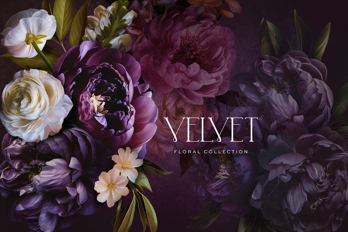 Velvet Peony Moody Floral Graphics, an Object Illustration by Eclectic Anthology (Photo 9 of 16)