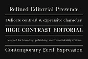 Serifant Family | Intro 50% OFF, a Serif Font by Lettertype Studio (Thumbnail 10 of 15)