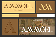 Windels - Elegant Serif Logo Font, a Serif Font by Pekotype (Thumbnail 8 of 15)