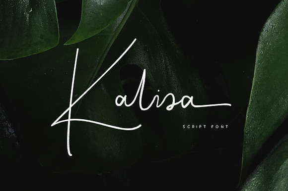 Kalisa Signature Font preview 7