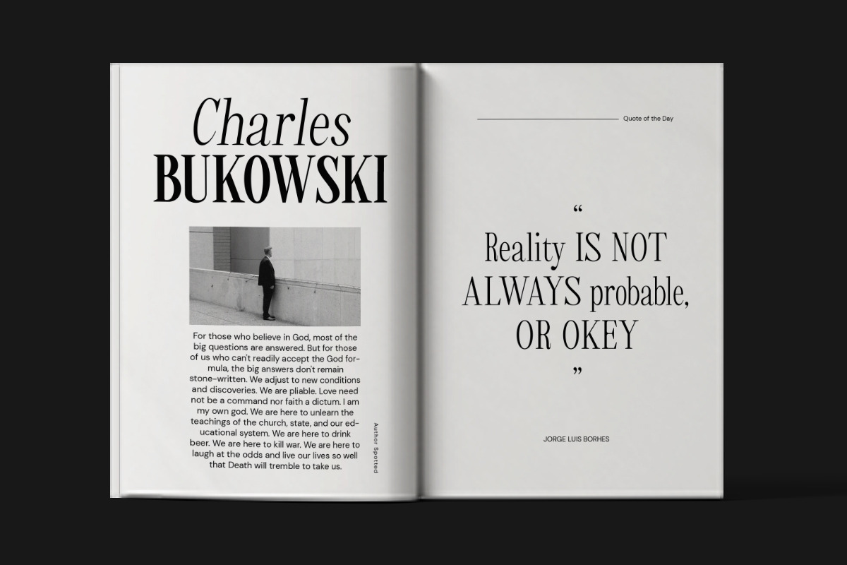 Mallone | 12 Fonts, a Serif Font by Skinny Type (Photo 6 of 10)