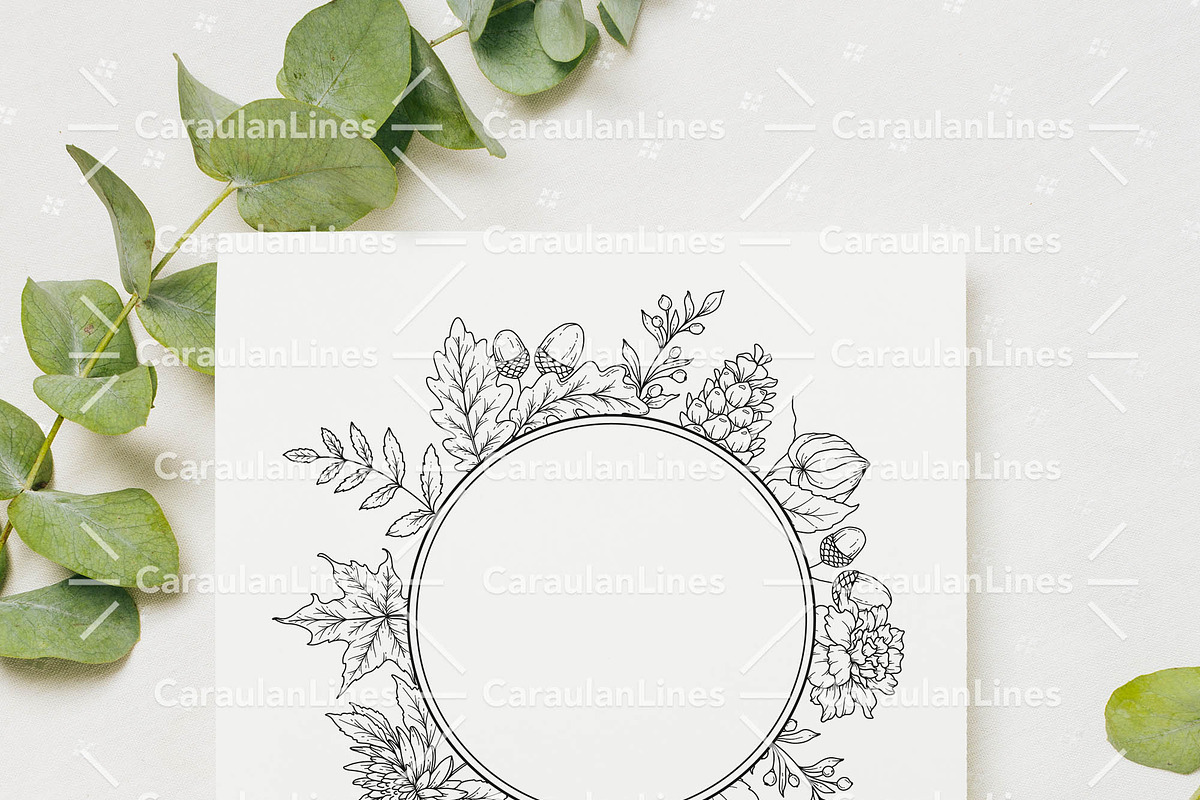 Fall Foliage Line Art, an Object Graphic by CaraulanStore (Photo 6 of 8)