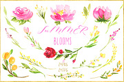 Summer blooms. watercolor clipart, an Illustration by LABFcreations (Thumbnail 4 of 5)