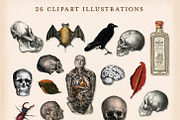 175 Vintage Halloween Ephemera, an Object Graphic by The Object Atlas (Thumbnail 7 of 13)