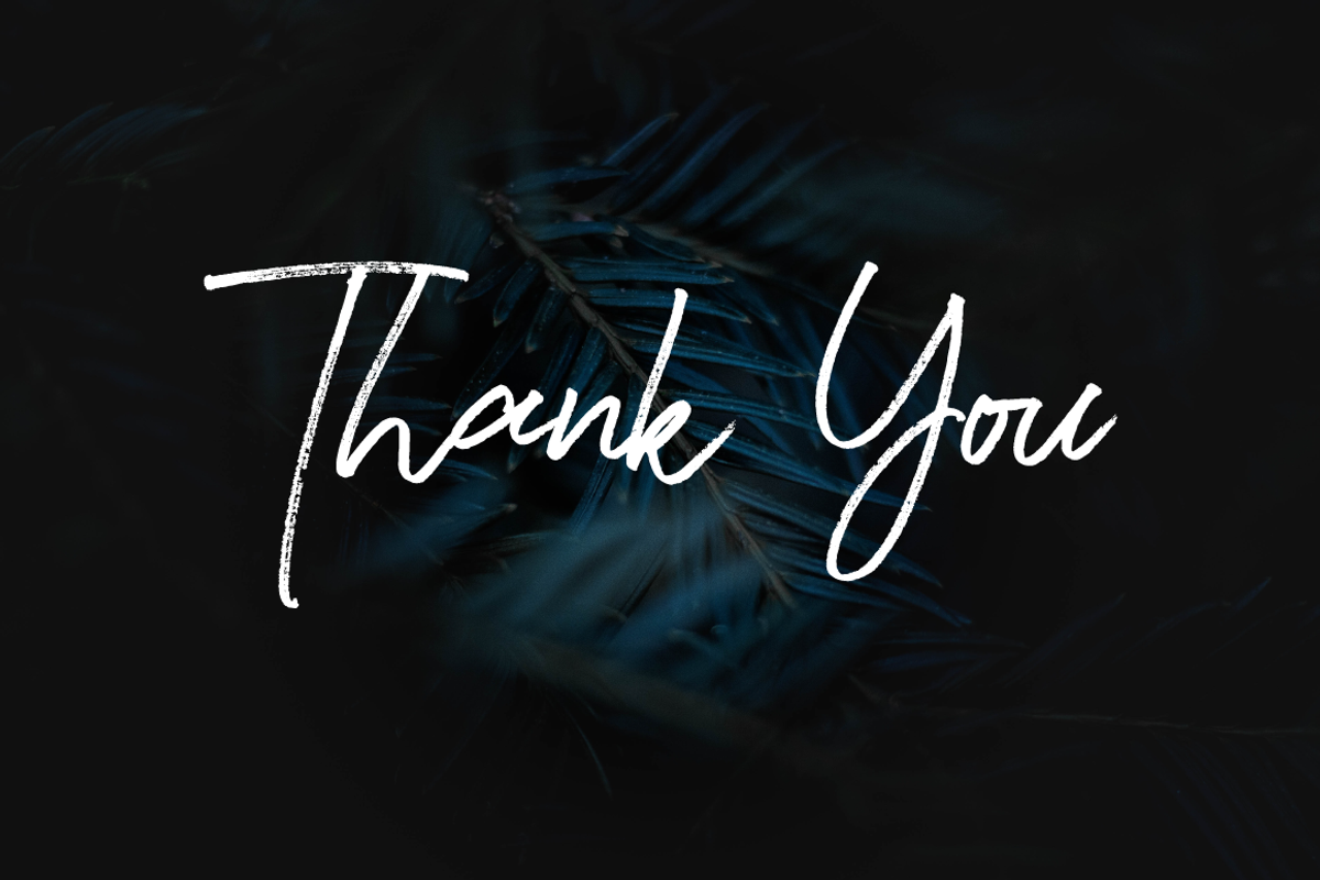 Rasthmon - Brush Font, a Script Font by tebaltipislab (Photo 13 of 13)