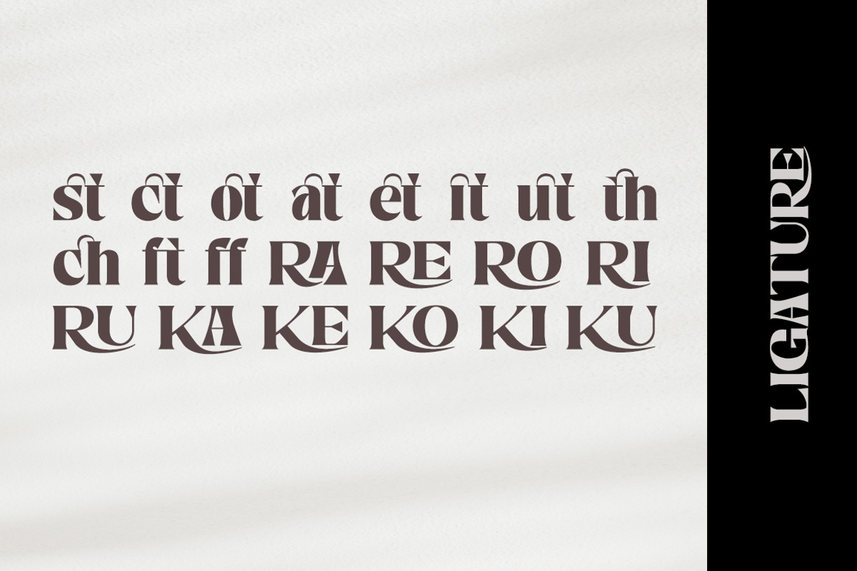 Nelona Serif, a Serif Font by Megatype (Photo 10 of 11)
