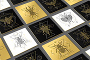 16 Insect symbols and 4 Patterns, an Outline Icon by Anna Smirnova (Thumbnail 1 of 12)