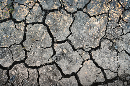 Cracked soil from drought