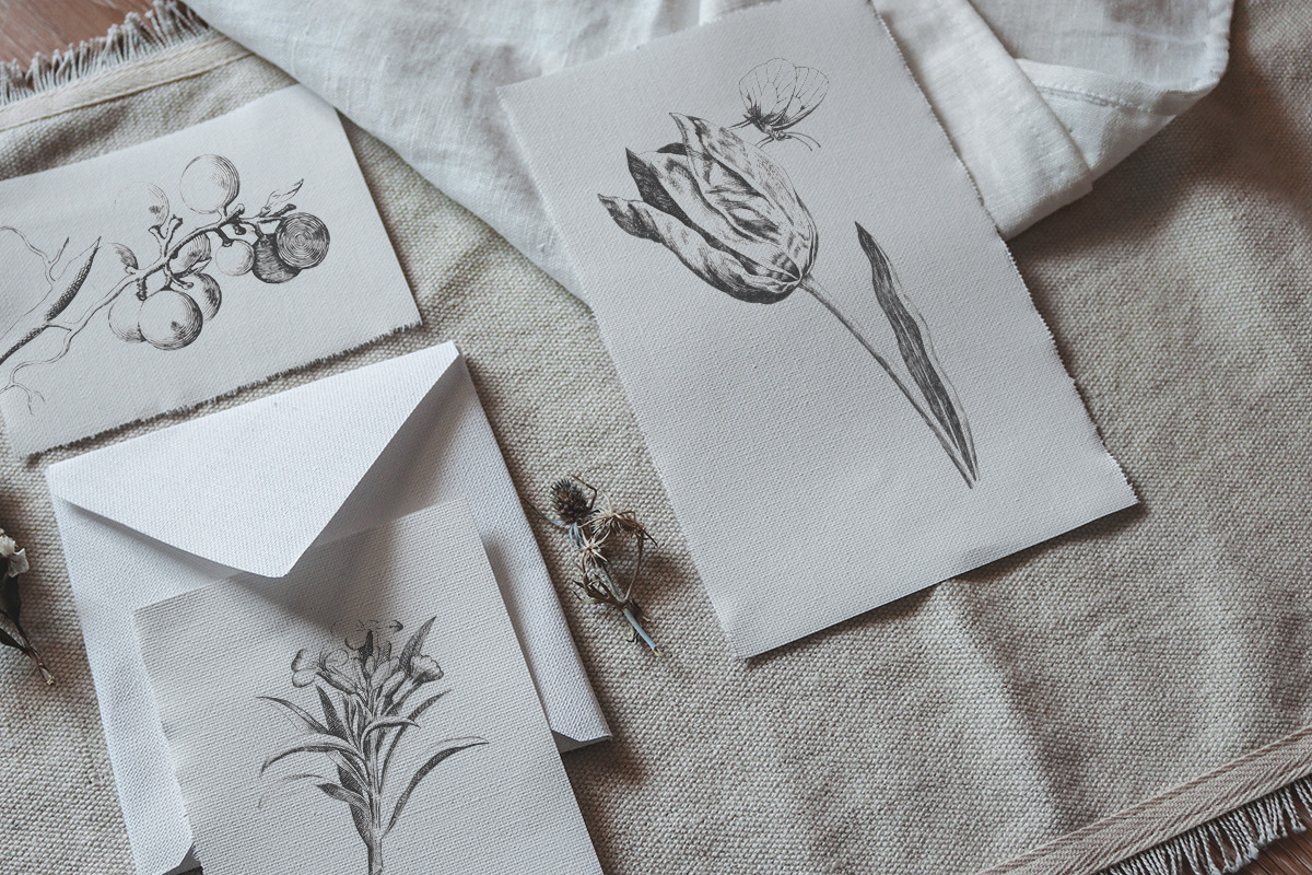 Vintage Engraved Botanical Elements, an Illustration by Jennadesigns (Photo 3 of 12)