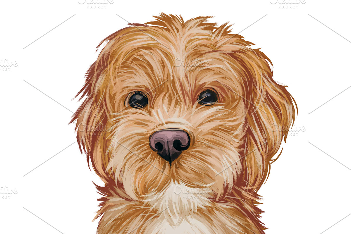 Dogs Most Popular in World,  510 Pet, an Illustration by Dneprstock (Photo 5 of 5)