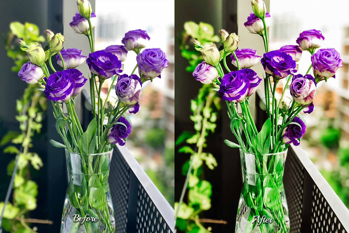30 Flowers LUT Collection, a Preset Add-On by 3Motional (Photo 8 of 10)