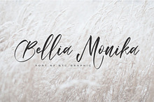 Bellia Monika Elegant Script Font
