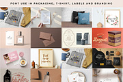 The Font Bundle For Graphic Designer, a Sans Serif Font by Vultype Co. (Thumbnail 21 of 23)