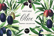 Vintage Olive Graphic Collection, a Decorative Illustration by Olga Begak Art & Design (Thumbnail 1 of 11)